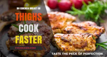Chicken Breast vs. Thighs: Which Cooks Faster and Why?