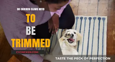 Should You Trim Chicken Claws? Essential Care Tips for Healthy Poultry