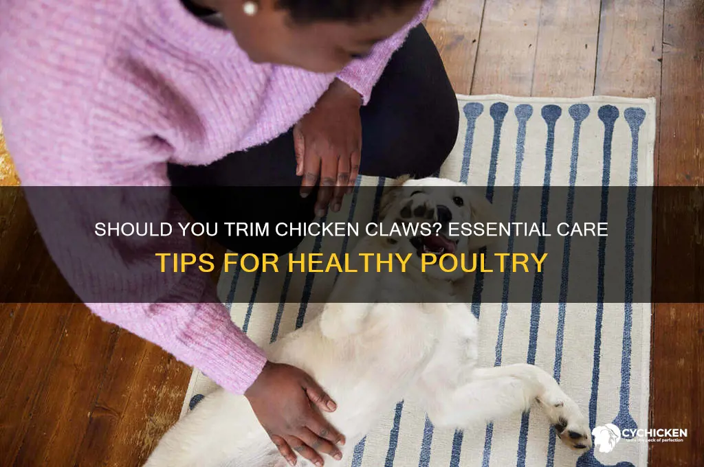 do chicken claws need to be trimmed