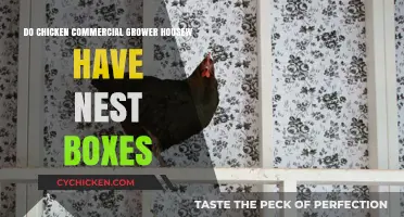 Do Commercial Chicken Grower Houses Include Nest Boxes?