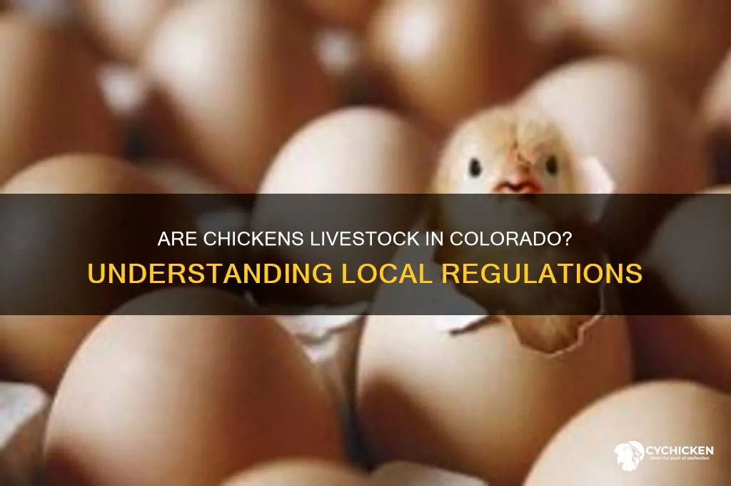 do chicken counts as livestock in colorado
