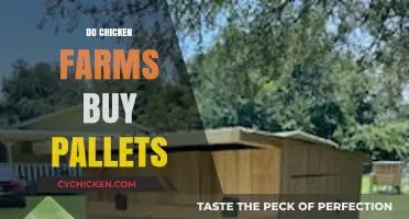 Do Chicken Farms Buy Pallets? Exploring Their Use in Poultry Operations