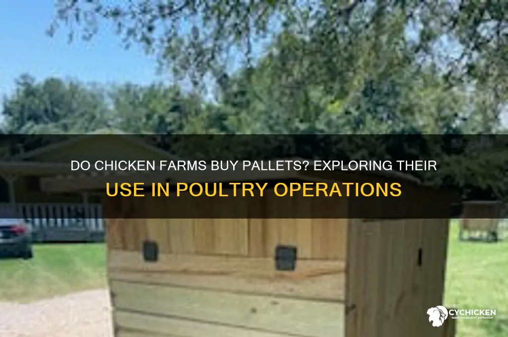 do chicken farms buy pallets