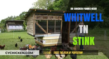 Do Chicken Farms Near Whitwell, TN Cause Unpleasant Odors?