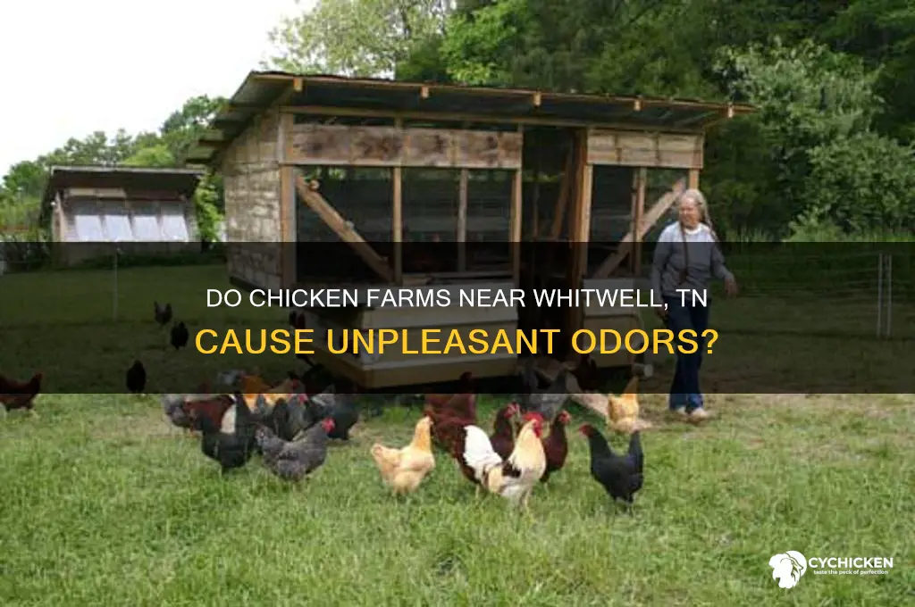 do chicken farms near whitwell tn stink