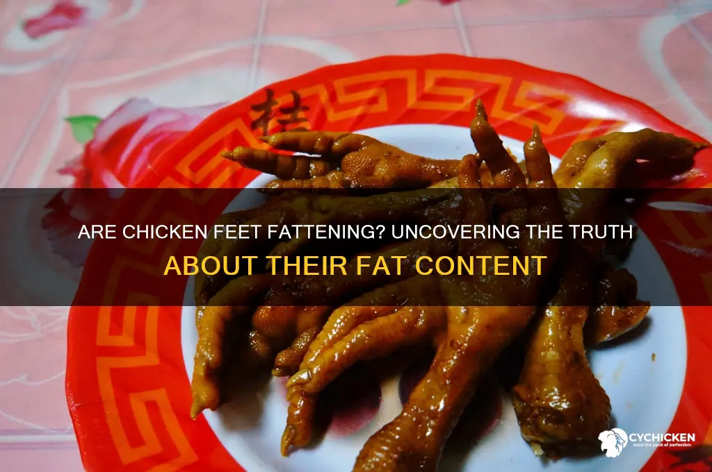 do chicken feet have a lot of fat