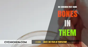 Unveiling the Truth: Do Chicken Feet Contain Bones?