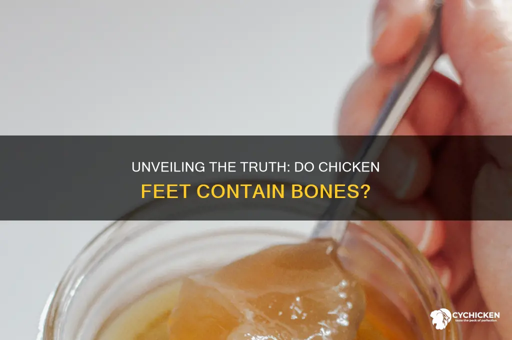 do chicken feet have bones in them