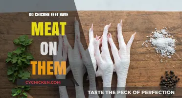 Exploring Chicken Feet: Uncovering the Truth About Their Meat Content