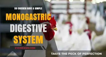 Understanding Chickens' Monogastric Digestive System: Simple or Complex?