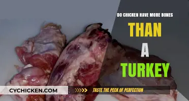 Chicken vs. Turkey: Which Bird Has More Bones?