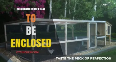 Enclosed Chicken Coops: Are They Necessary for Happy, Healthy Hens?