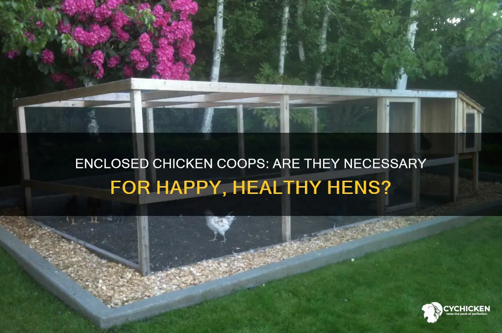 do chicken houses have to be enclosed