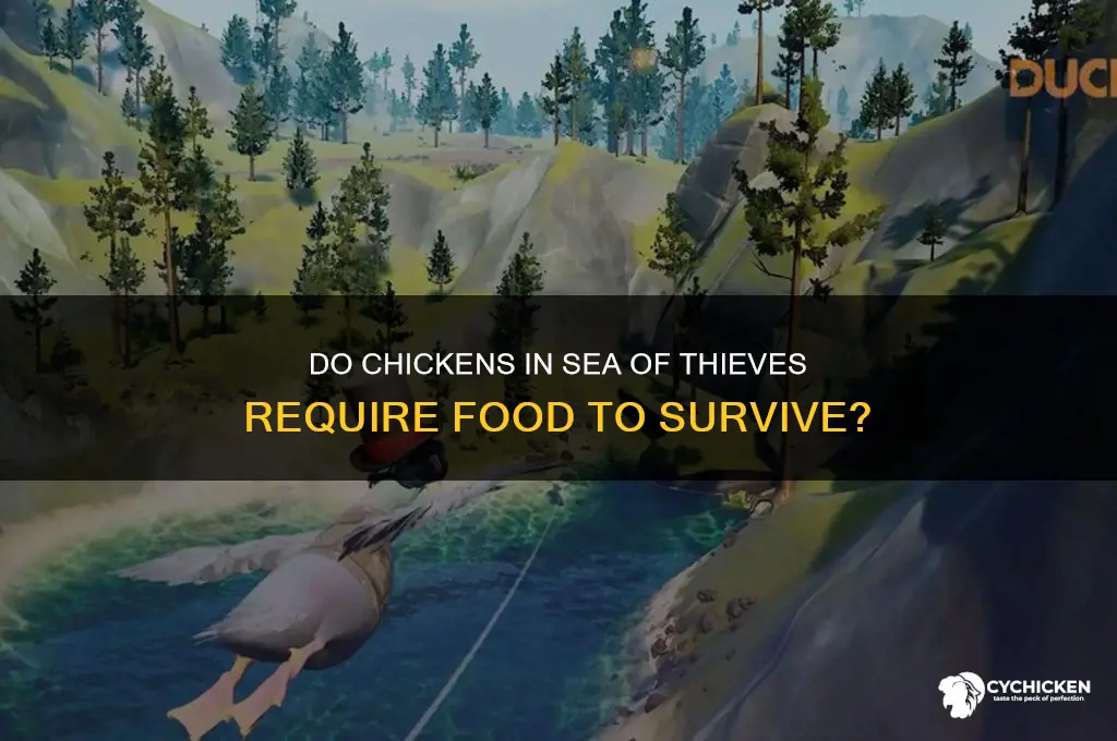 do chicken in sea of theives need food
