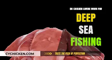 Chicken Livers as Deep Sea Fishing Bait: Effective or Myth?