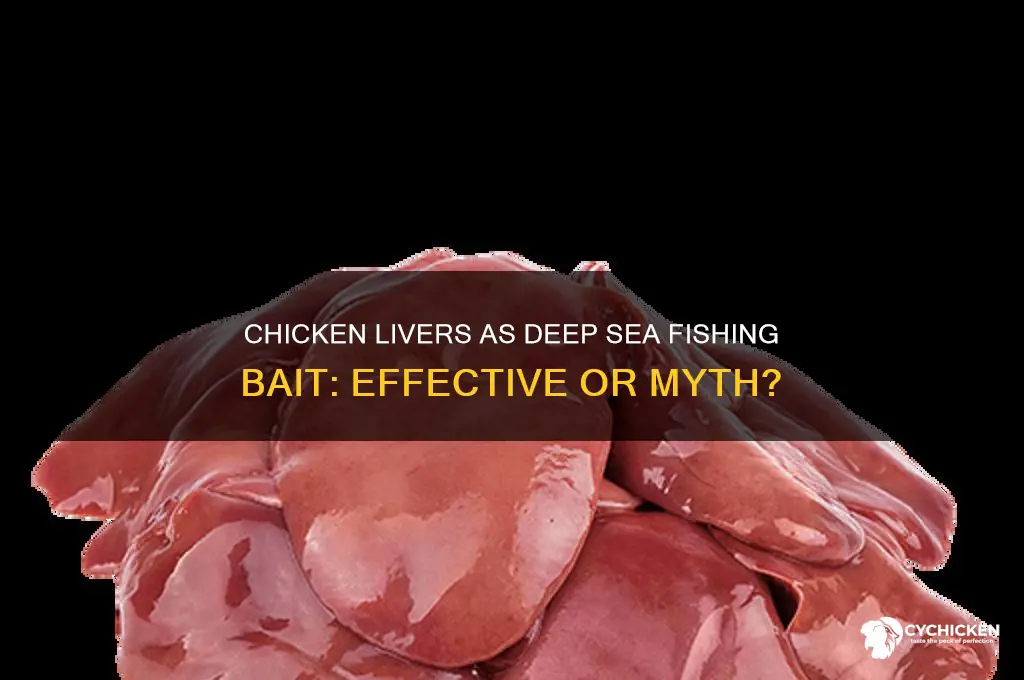 do chicken livers work for deep sea fishing