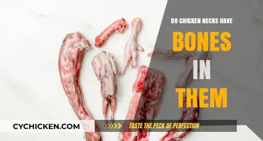 Do Chicken Necks Have Bones? Uncovering the Truth About Poultry Anatomy