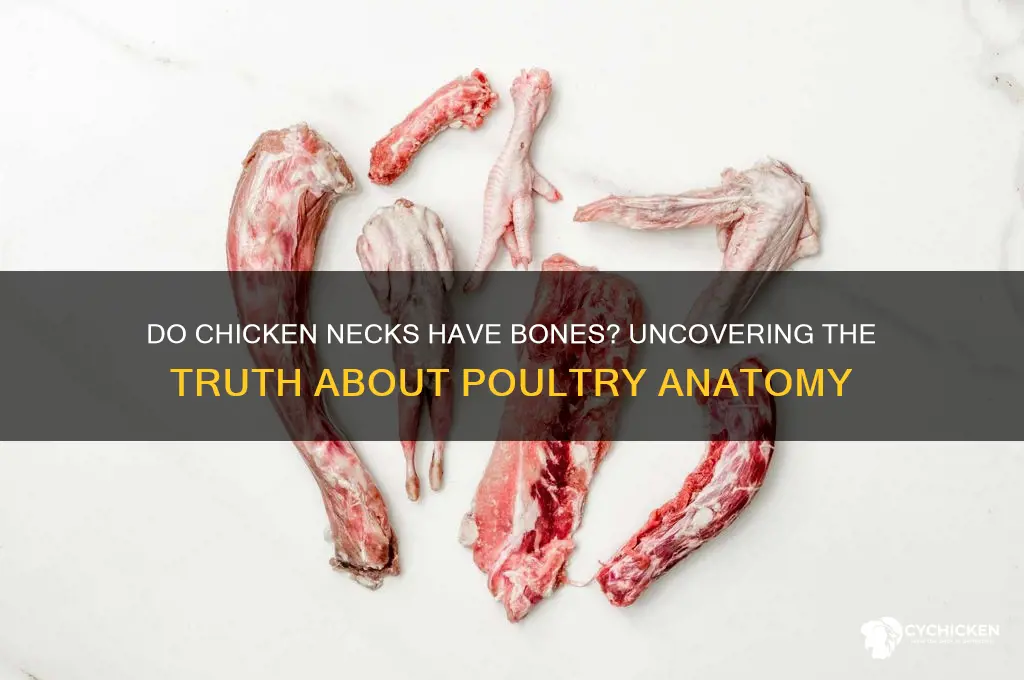 do chicken necks have bones in them