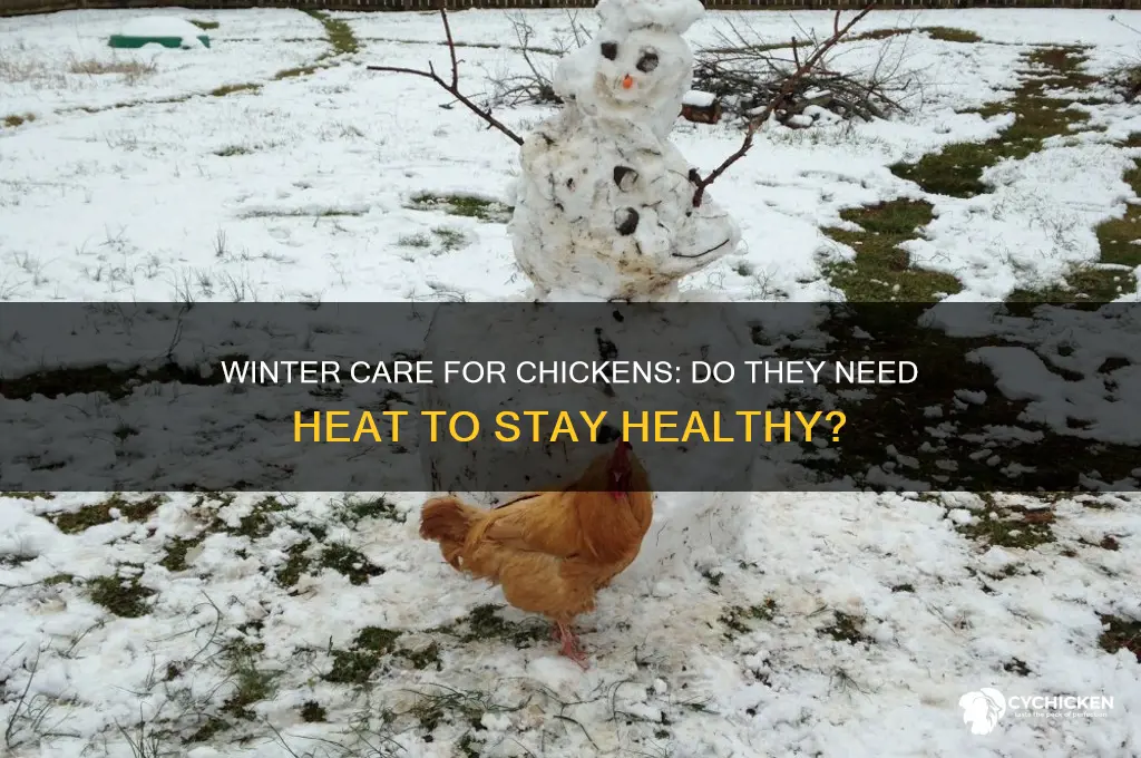 do chicken need heat in the winter