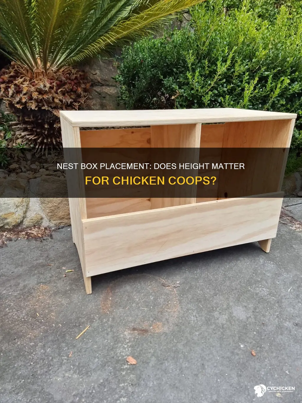 do chicken nest boxes have to be off the ground