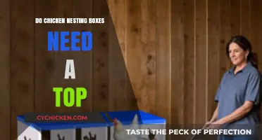 Should Chicken Nesting Boxes Have Tops? Pros and Cons Explained