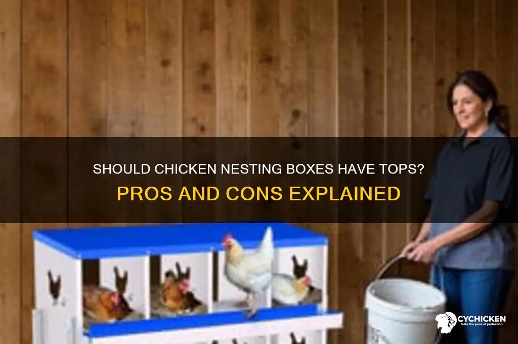 do chicken nesting boxes need a top