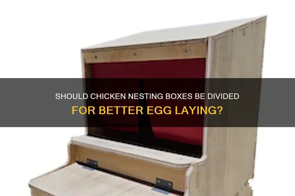 do chicken nesting boxes need to be divided