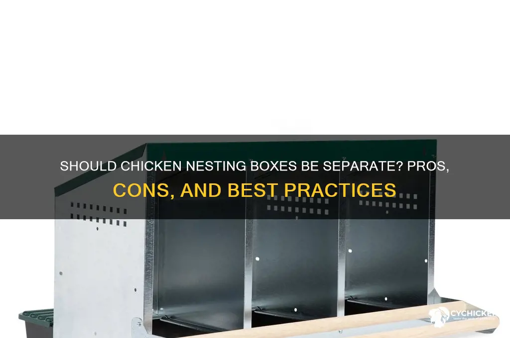 do chicken nesting boxes need to be separated