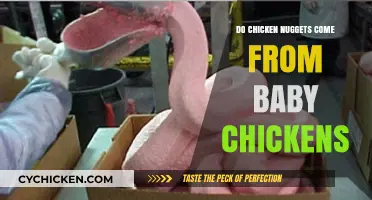 Do Chicken Nuggets Come From Baby Chickens? Unraveling the Truth