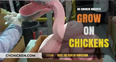 Do Chicken Nuggets Grow on Chickens? Unraveling the Myth