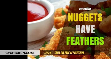 Do Chicken Nuggets Contain Feathers? Unraveling the Truth Behind the Crunch