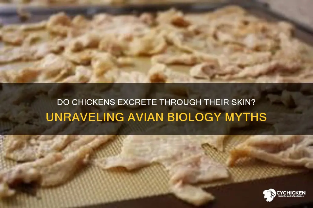 do chicken pee out of their skin