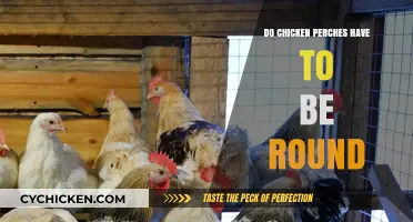 Round or Not? The Truth About Chicken Perch Shapes