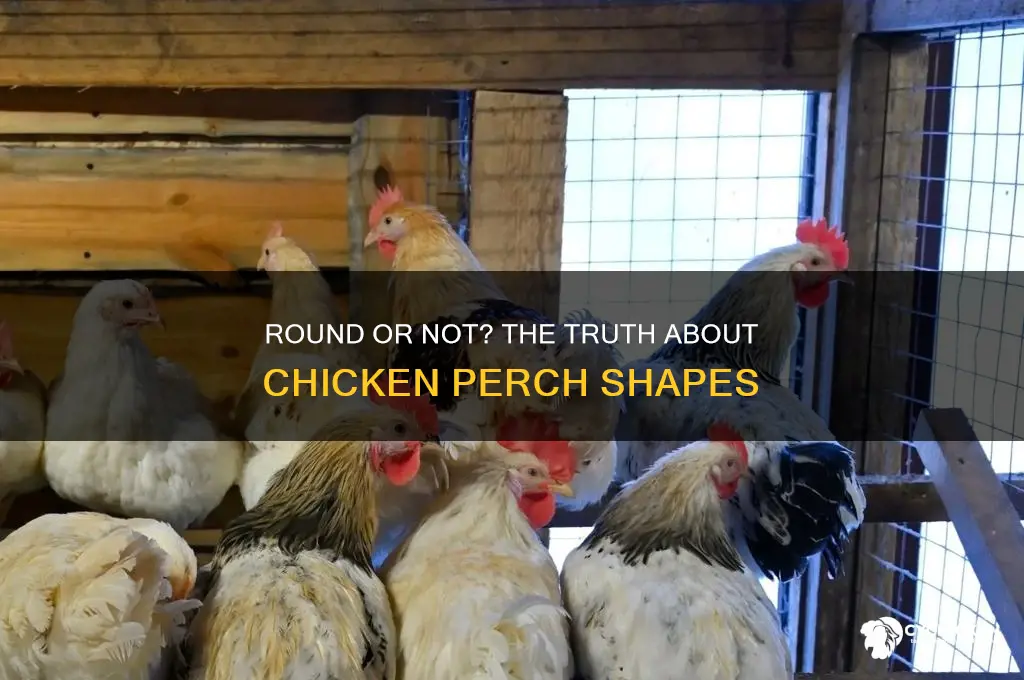 do chicken perches have to be round