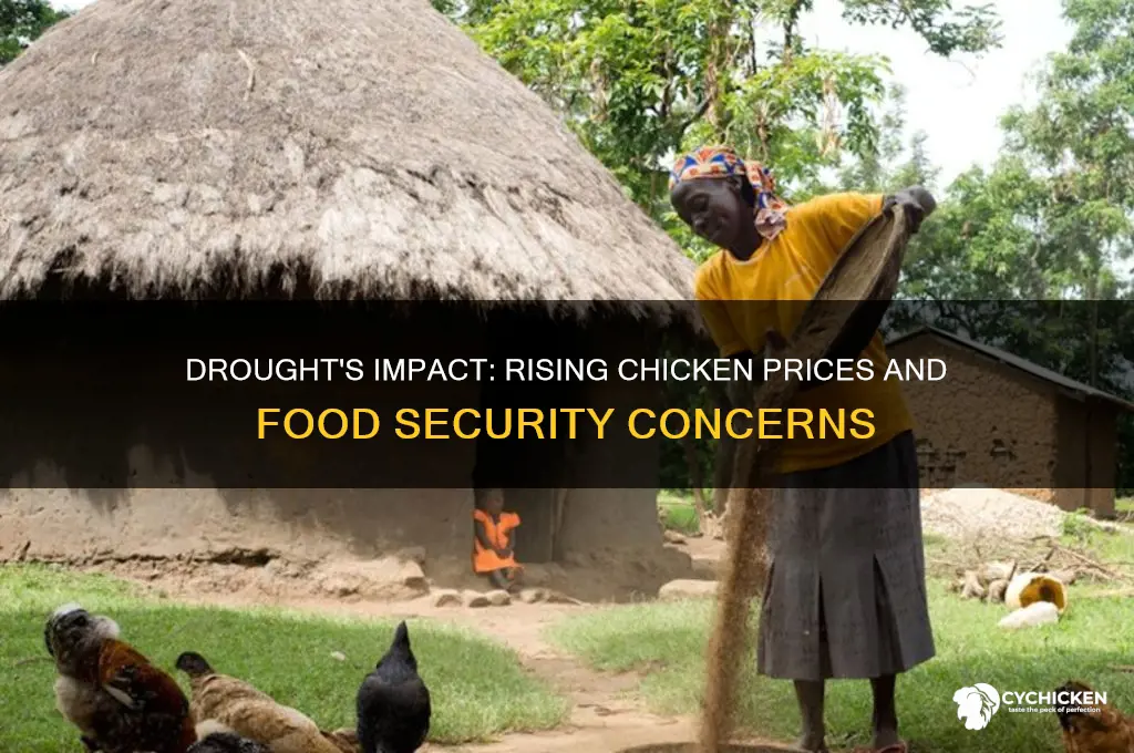 do chicken prices go up in a drought
