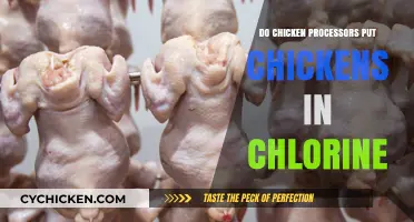 Chlorine-Washed Chickens: Fact or Fiction in Poultry Processing?