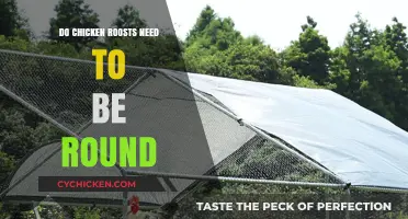 Round vs. Square: Which Chicken Roost Design is Best?