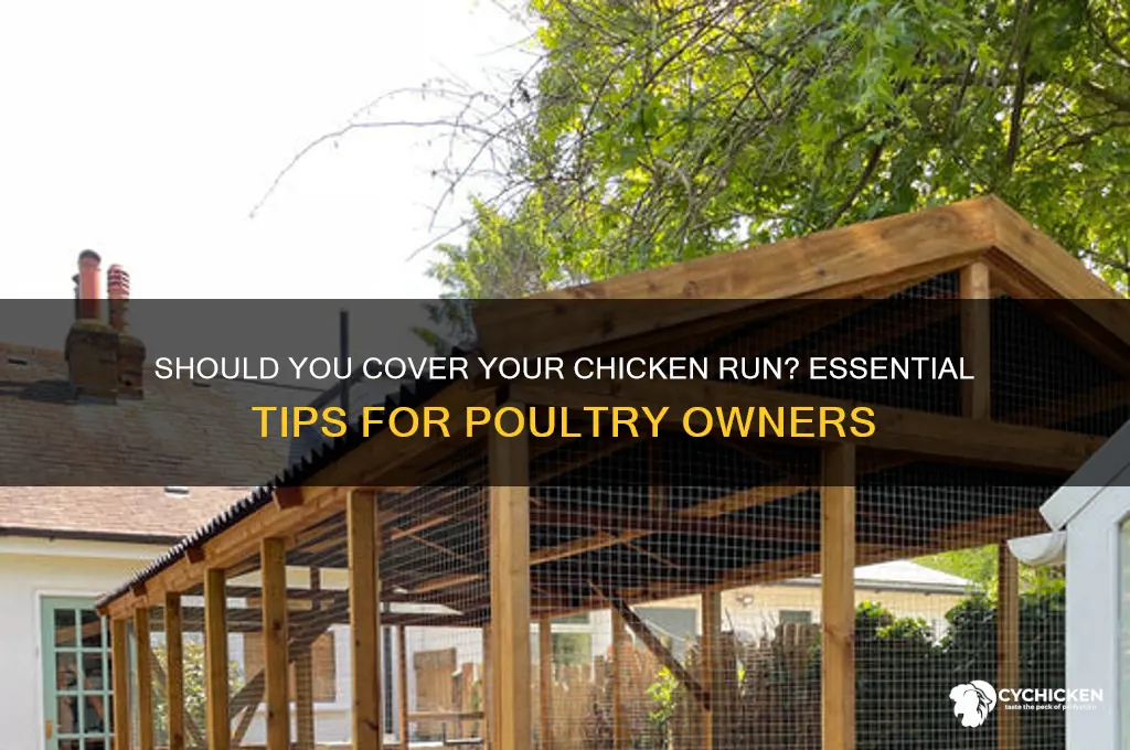 do chicken runs need to be covered