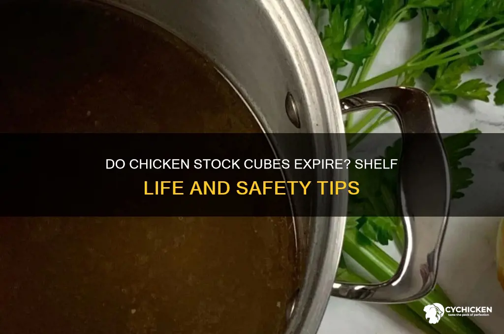 do chicken stock cubes go out of date