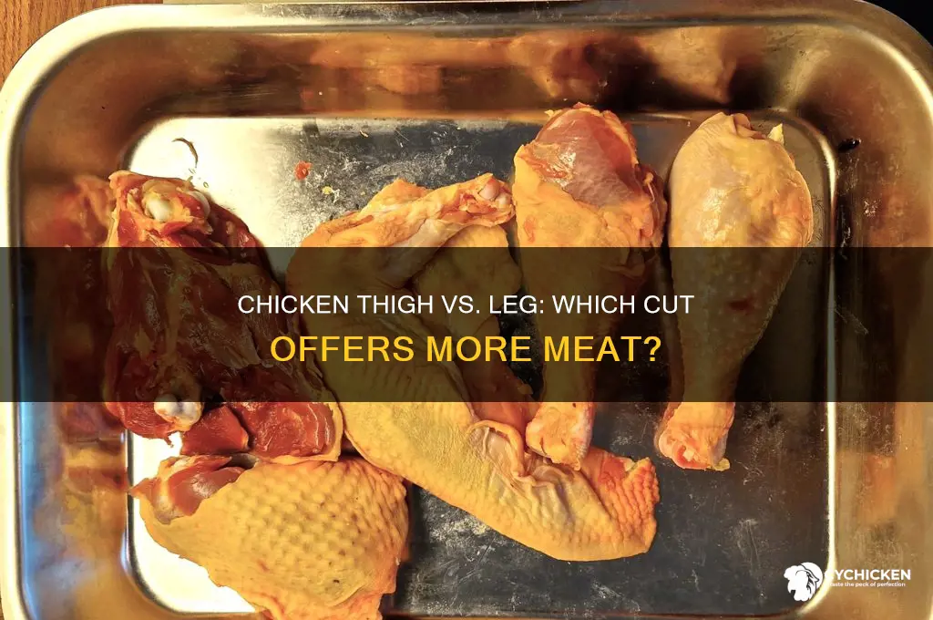 do chicken thigh or leg have more meat