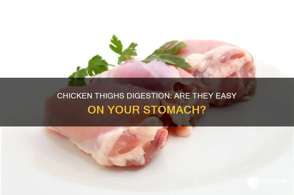 do chicken thighs digest easily