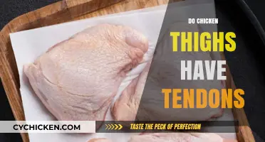 Do Chicken Thighs Have Tendons? A Culinary Anatomy Exploration