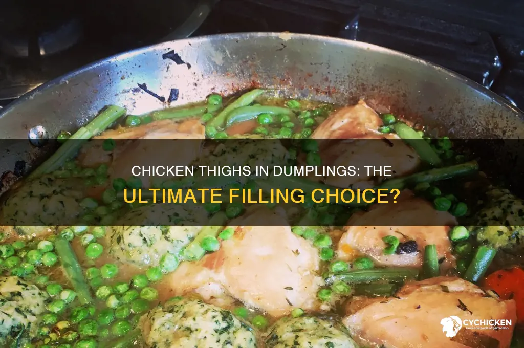 do chicken thighs make the best dumplings