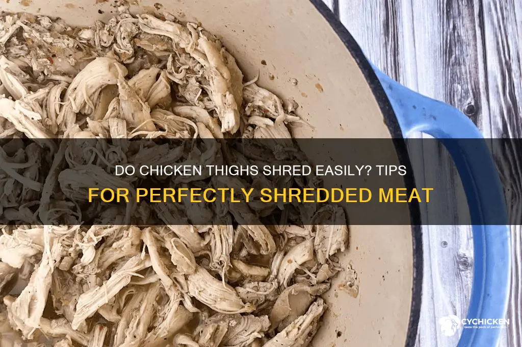 do chicken thighs shred easily