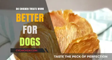 Chicken Treats for Dogs: Are They the Best Training Reward?