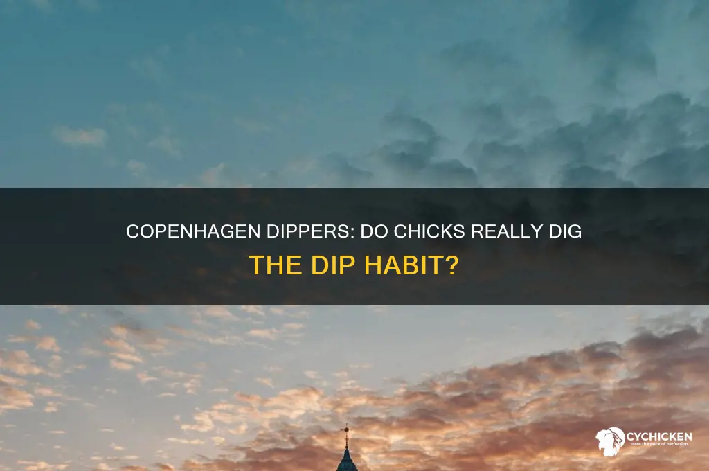 do chicks dig guys who dip copenhagen