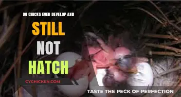 Unsuccessful Hatching: Why Some Chicks Develop but Never Emerge