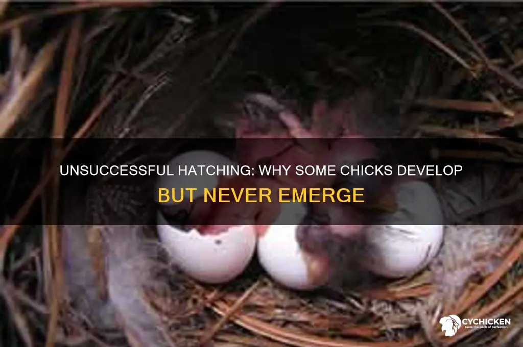 do chicks ever develop and still not hatch
