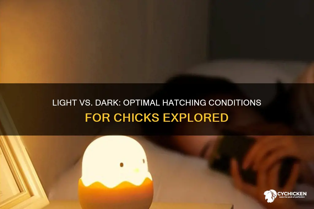 do chicks hatch better in light or dark