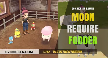 Harvest Moon Chicks: Fodder Necessity or Myth?